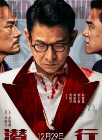 精品久久久久久中文字幕无碍